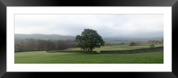 Wharfedale Fields Autumn Yorkshire Dales.jpg Framed Mounted Print by Sonny Ryse