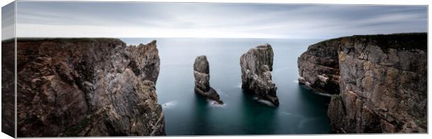 Stack Rocks Castlemartin Pembrokeshire Cliffs Wales Canvas Print by Sonny Ryse