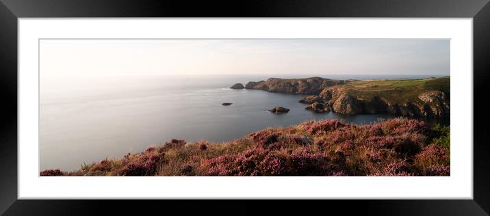 Strumble head heather pembrokeshire wales Framed Mounted Print by Sonny Ryse