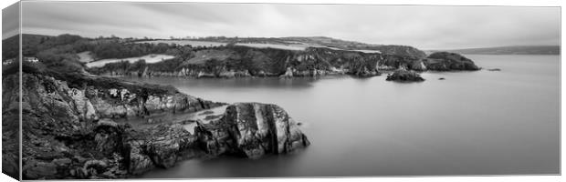 Fishguard Coast Pembrokeshire Wales Black and white Canvas Print by Sonny Ryse