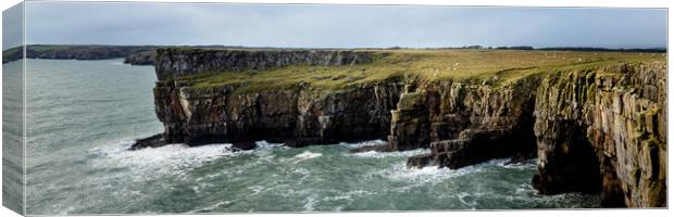 Stackpole head Pembrokeshire Coast Wales Canvas Print by Sonny Ryse