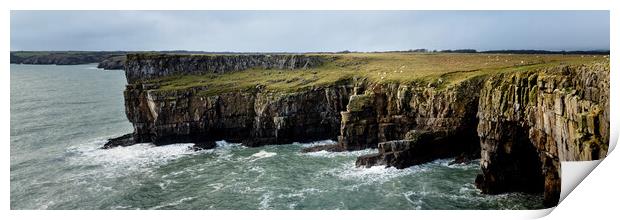 Stackpole head Pembrokeshire Coast Wales Print by Sonny Ryse