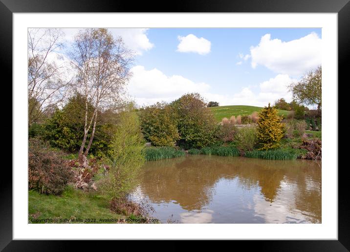 Head of a lake in Kent Framed Mounted Print by Sally Wallis