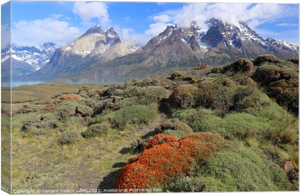 Torres and Cuernos, Torres del Paine, Patagonia, Chile, S. America Canvas Print by Geraint Tellem ARPS