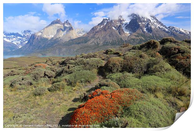 Torres and Cuernos, Torres del Paine, Patagonia, Chile, S. America Print by Geraint Tellem ARPS