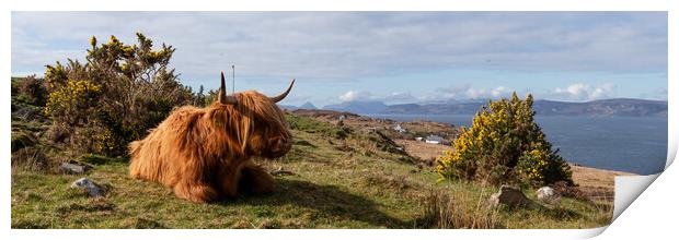 Highland cow coo scottish coast highlands Print by Sonny Ryse