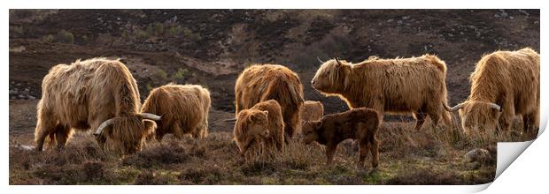 Highland cow coo calves herd 2 Print by Sonny Ryse