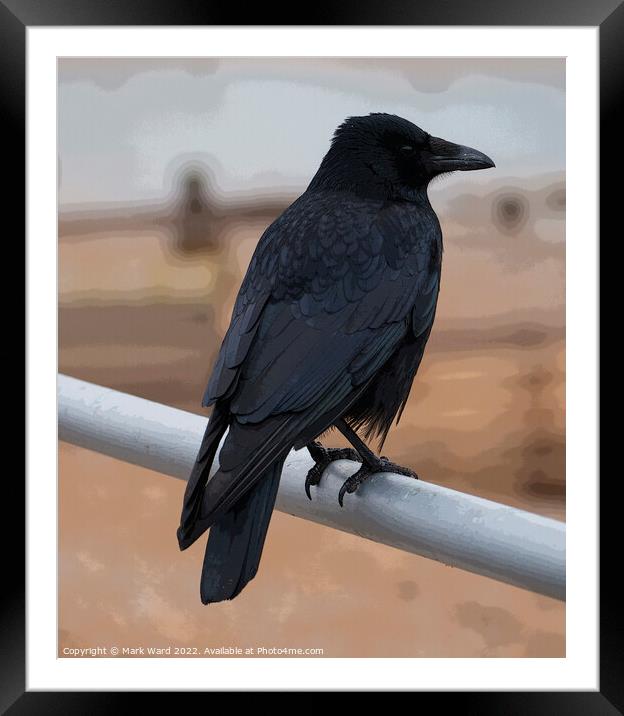 The Wise Crow. Framed Mounted Print by Mark Ward