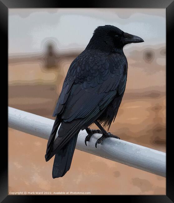 The Wise Crow. Framed Print by Mark Ward