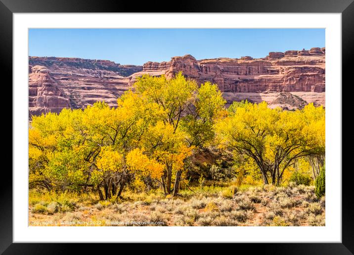 Autumm Yellow Leaves Rock Canyon Arches National Park Moab Utah  Framed Mounted Print by William Perry