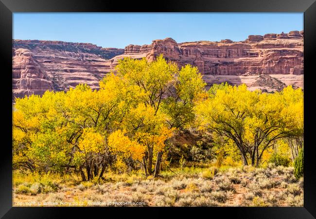 Autumm Yellow Leaves Rock Canyon Arches National Park Moab Utah  Framed Print by William Perry