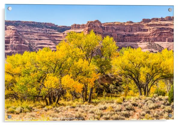 Autumm Yellow Leaves Rock Canyon Arches National Park Moab Utah  Acrylic by William Perry