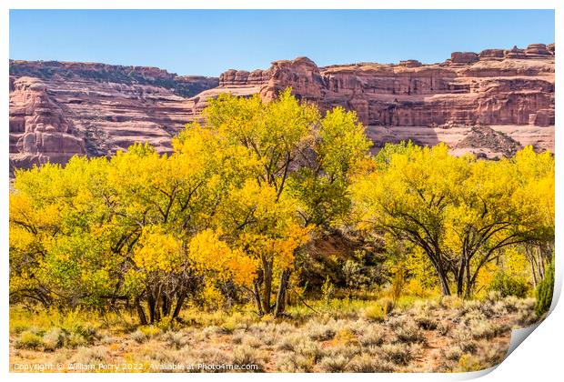 Autumm Yellow Leaves Rock Canyon Arches National Park Moab Utah  Print by William Perry