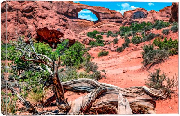Red Brown Skyline Arch Rock Canyon Arches National Park Moab Uta Canvas Print by William Perry
