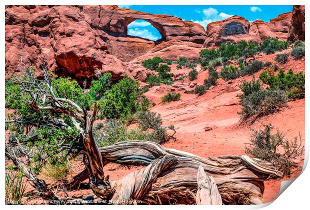 Red Brown Skyline Arch Rock Canyon Arches National Park Moab Uta Print by William Perry