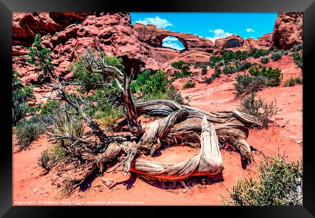 Skyline Arch Rock Canyon Arches National Park Moab Utah  Framed Print by William Perry