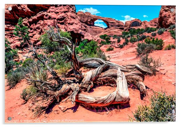 Skyline Arch Rock Canyon Arches National Park Moab Utah  Acrylic by William Perry