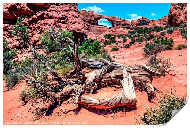 Skyline Arch Rock Canyon Arches National Park Moab Utah  Print by William Perry