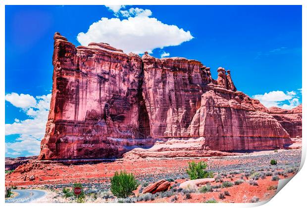 Tower of Babel Rock Formation Canyon Arches National Park Moab U Print by William Perry