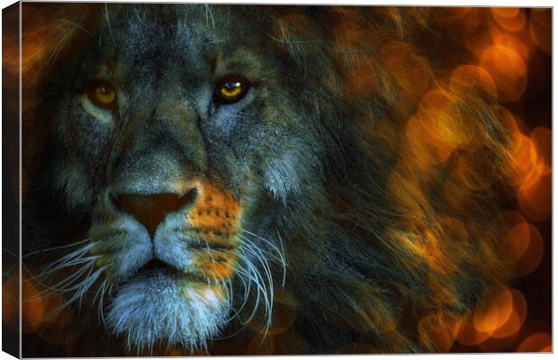Lion  Canvas Print by Alison Chambers