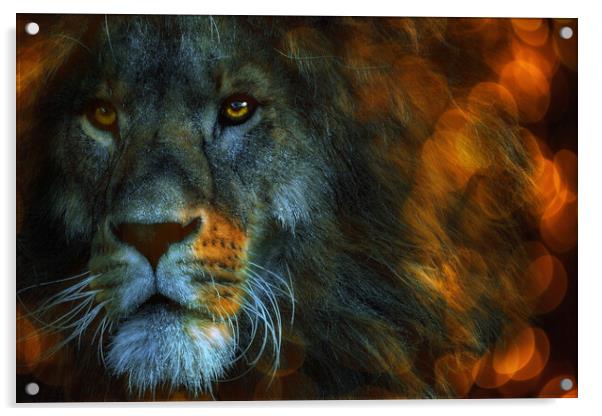 Lion  Acrylic by Alison Chambers