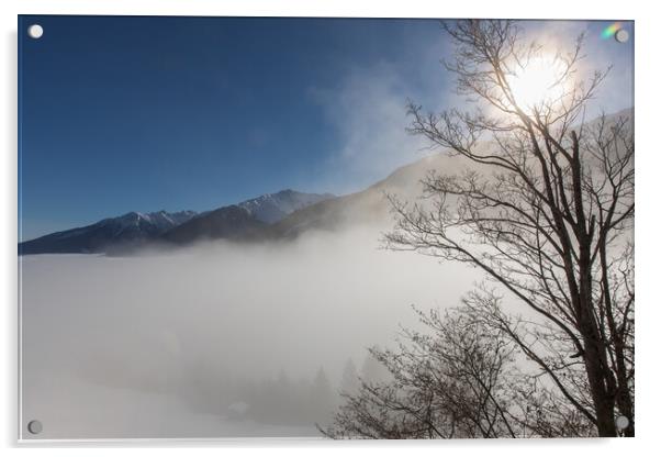 Foggy Wintermorning Acrylic by Thomas Schaeffer