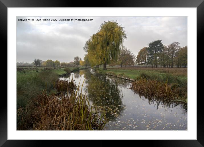 December cold morning at Bushy Park Framed Mounted Print by Kevin White