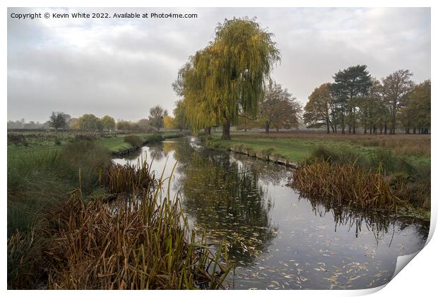 December cold morning at Bushy Park Print by Kevin White