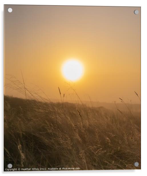 Foggy Moorland Sunrise Acrylic by Heather Athey