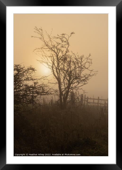November Mornings Framed Mounted Print by Heather Athey