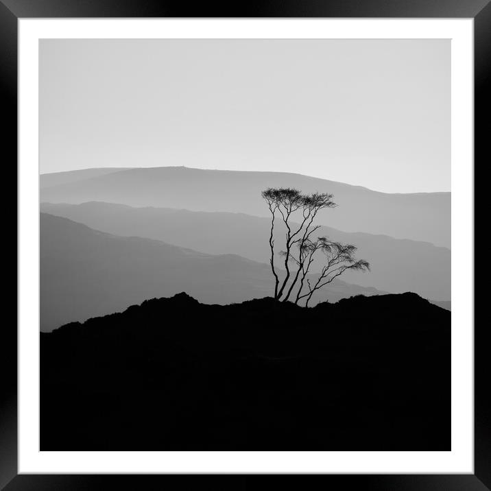 Holme Fell, The Lake District Framed Mounted Print by Dan Ward