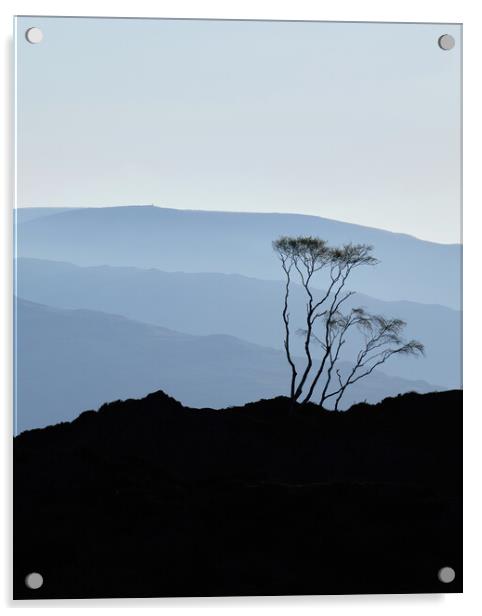 Morning Blues, The Lake District Acrylic by Dan Ward
