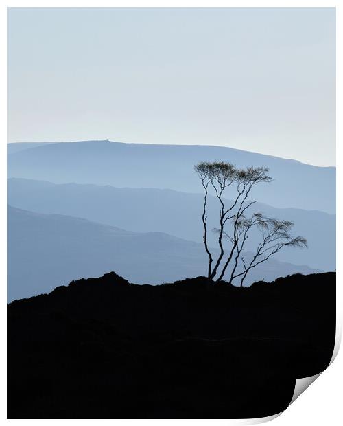 Morning Blues, The Lake District Print by Dan Ward