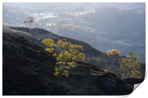 Early morning on Holme Fell, The Lake District Print by Dan Ward