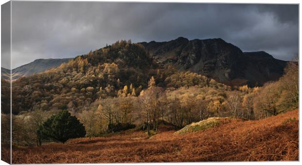 Golden Light on Castle Crag, The Lake District Canvas Print by Dan Ward