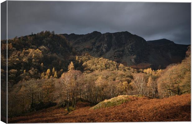 Golden Light on Castle Crag, The Lake District Canvas Print by Dan Ward