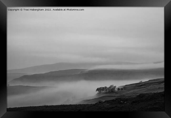 Mist In The Valley  Framed Print by Traci Habergham