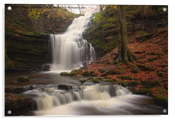An Autumnal Scalebar Force Waterfall Acrylic by Traci Habergham