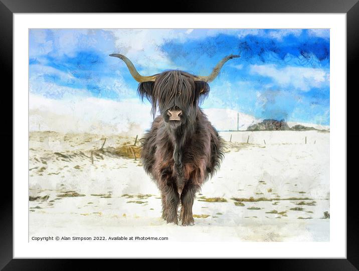 Highland Cow in the snow Framed Mounted Print by Alan Simpson