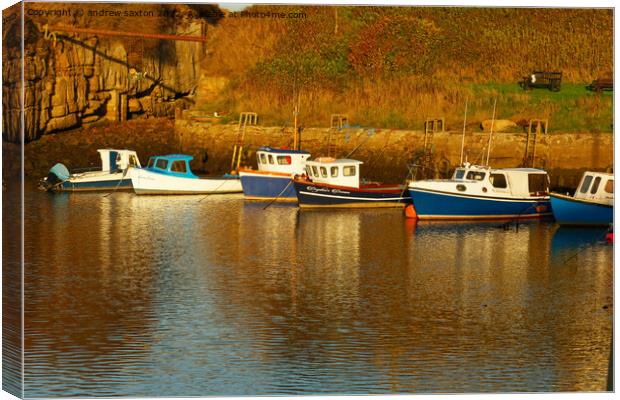 Seaton moored Canvas Print by andrew saxton