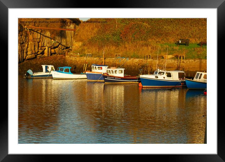Seaton moored Framed Mounted Print by andrew saxton