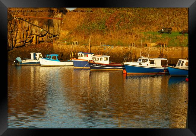 Seaton moored Framed Print by andrew saxton