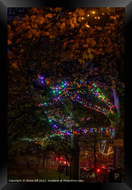 Harrogate Sparkles at Night with Ornamental Tree Lights   Framed Print by Steve Gill