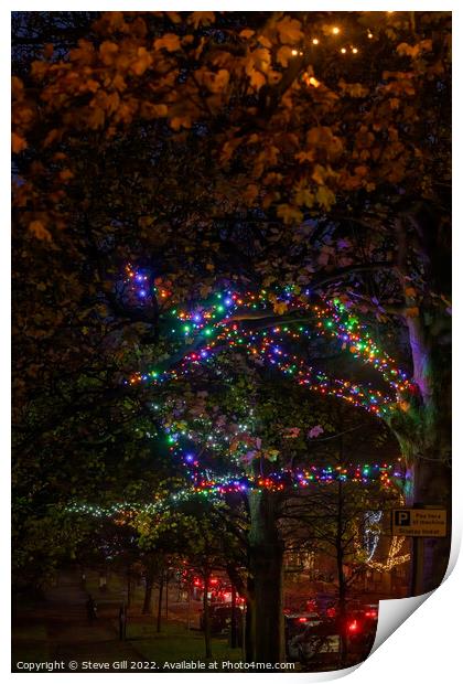 Harrogate Sparkles at Night with Ornamental Tree Lights   Print by Steve Gill