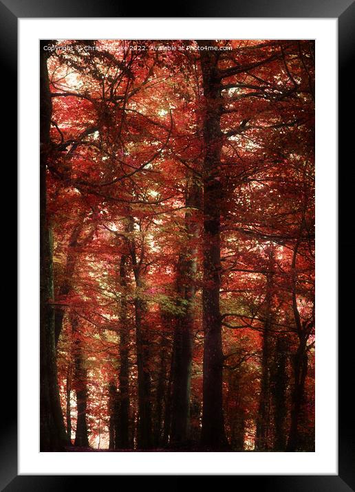 Autumn Shades Framed Mounted Print by Christine Lake