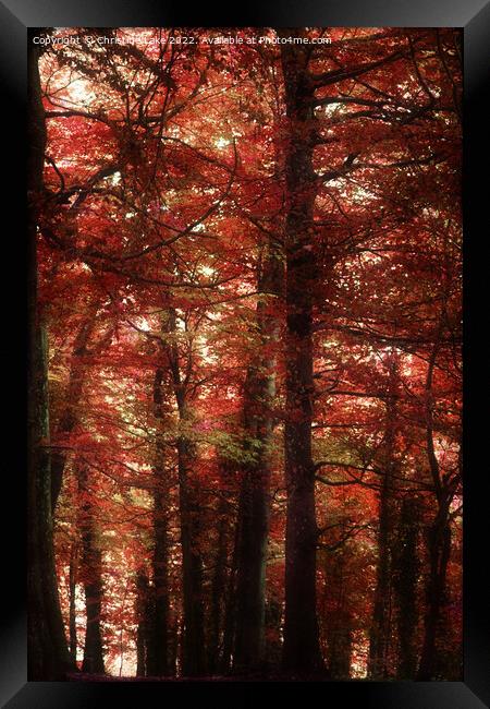 Autumn Shades Framed Print by Christine Lake