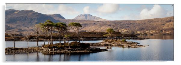 Loch Assynt highlands scotland Acrylic by Sonny Ryse