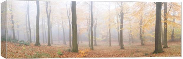 Misty English autumn forest woodland Yorkshire dales Canvas Print by Sonny Ryse