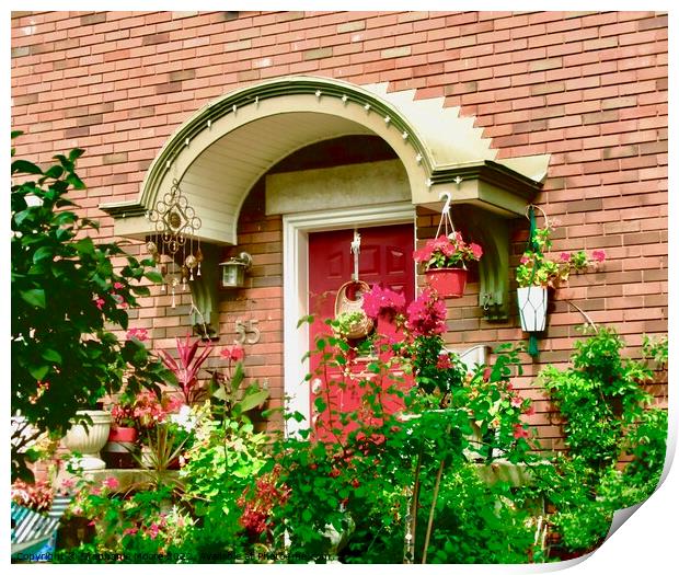 Building door plants Print by Stephanie Moore