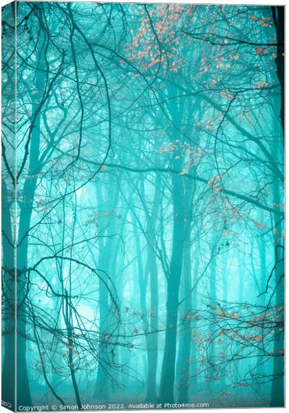 Misty woodland  Canvas Print by Simon Johnson